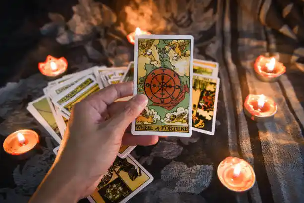 tarot cards Edina